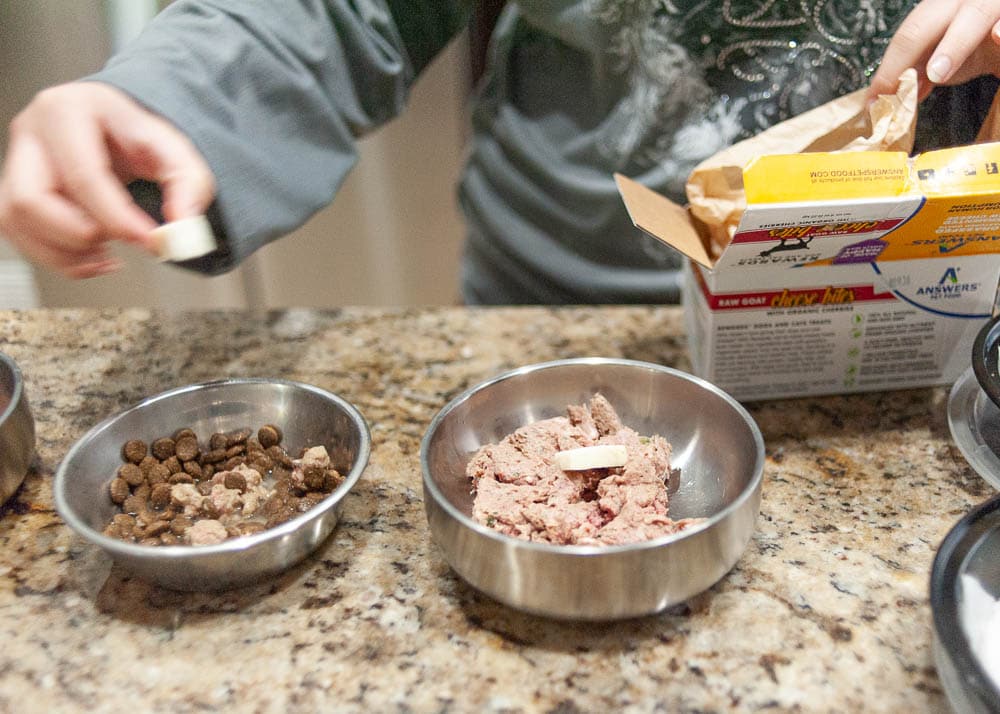 transitioning a puppy to raw food