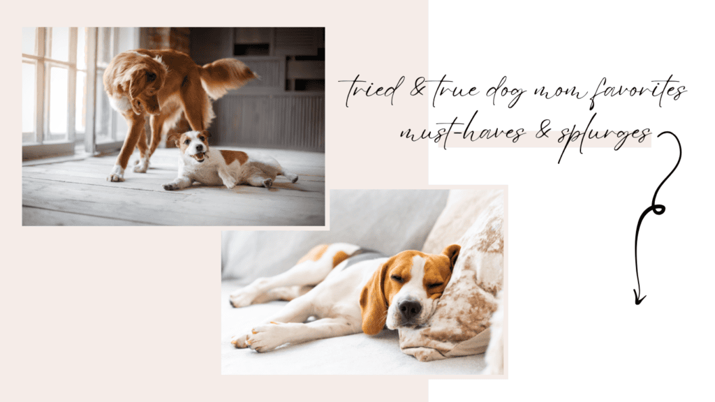 favorite products for dog moms